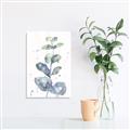 Picture of Green Eucalyptus II _GroupedProduct_Rectangle_Portrait_Canvas_