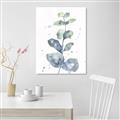 Picture of Green Eucalyptus II _GroupedProduct_Rectangle_Portrait_Canvas_