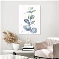 Picture of Green Eucalyptus II _GroupedProduct_Rectangle_Portrait_Canvas_