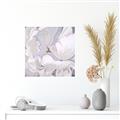 Picture of Pastel Bloom _GroupedProduct_Square_Canvas_