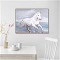 Picture of Wild Horse _GroupedProduct_Rectangle_Landscape_Canvas_Framed_