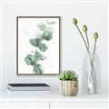Picture of Green Eucalyptus I _GroupedProduct_Rectangle_Portrait_Canvas_Framed_