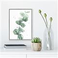 Picture of Green Eucalyptus I _GroupedProduct_Rectangle_Portrait_Canvas_Framed_