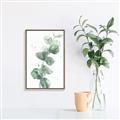 Picture of Green Eucalyptus I _GroupedProduct_Rectangle_Portrait_Canvas_Framed_