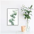 Picture of Green Eucalyptus I _GroupedProduct_Rectangle_Portrait_Canvas_Framed_