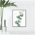 Picture of Green Eucalyptus I _GroupedProduct_Rectangle_Portrait_Canvas_Framed_