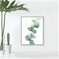 Picture of Green Eucalyptus I _GroupedProduct_Rectangle_Portrait_Canvas_Framed_
