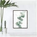Picture of Green Eucalyptus I _GroupedProduct_Rectangle_Portrait_Canvas_Framed_