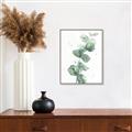 Picture of Green Eucalyptus I _GroupedProduct_Rectangle_Portrait_Canvas_Framed_