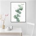 Picture of Green Eucalyptus I _GroupedProduct_Rectangle_Portrait_Canvas_Framed_