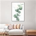 Picture of Green Eucalyptus I _GroupedProduct_Rectangle_Portrait_Canvas_Framed_