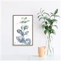 Picture of Green Eucalyptus II _GroupedProduct_Rectangle_Portrait_Canvas_Framed_