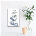 Picture of Green Eucalyptus II _GroupedProduct_Rectangle_Portrait_Canvas_Framed_