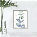 Picture of Green Eucalyptus II _GroupedProduct_Rectangle_Portrait_Canvas_Framed_