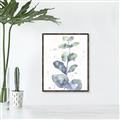 Picture of Green Eucalyptus II _GroupedProduct_Rectangle_Portrait_Canvas_Framed_