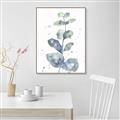 Picture of Green Eucalyptus II _GroupedProduct_Rectangle_Portrait_Canvas_Framed_