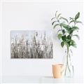 Picture of Autumn Wild Flowers _GroupedProduct_Rectangle_Landscape_Unframed_Print_Only_
