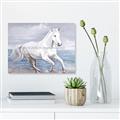 Picture of Wild Horse _GroupedProduct_Rectangle_Landscape_Unframed_Print_Only_