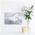 Picture of Wild Horse _GroupedProduct_Rectangle_Landscape_Unframed_Print_Only_