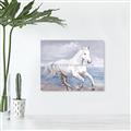 Picture of Wild Horse _GroupedProduct_Rectangle_Landscape_Unframed_Print_Only_