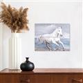 Picture of Wild Horse _GroupedProduct_Rectangle_Landscape_Unframed_Print_Only_