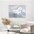 Picture of Wild Horse _GroupedProduct_Rectangle_Landscape_Unframed_Print_Only_