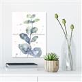 Picture of Green Eucalyptus II _GroupedProduct_Rectangle_Portrait_Unframed_Print_Only_
