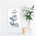 Picture of Green Eucalyptus II _GroupedProduct_Rectangle_Portrait_Unframed_Print_Only_