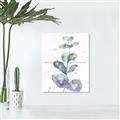Picture of Green Eucalyptus II _GroupedProduct_Rectangle_Portrait_Unframed_Print_Only_