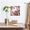 Picture of Glowing Light _GroupedProduct_Square_Unframed_Print_Only_