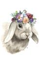 Picture of Sweet Floral Bunny _GroupedProduct_Rectangle_Portrait_Unframed_Print_Only_