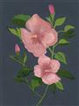Picture of Pink Tropical Flower _GroupedProduct_Rectangle_Portrait_Unframed_Print_Only_