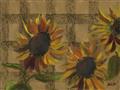 Picture of Sunflower In The Evening I _GroupedProduct_Rectangle_Landscape_Unframed_Print_Only_