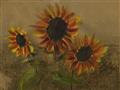 Picture of Sunflower In The Evening II _GroupedProduct_Rectangle_Landscape_Unframed_Print_Only_