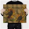 Picture of Sunflower In The Evening I _GroupedProduct_Rectangle_Landscape_Canvas_