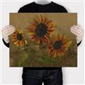 Picture of Sunflower In The Evening II _GroupedProduct_Rectangle_Landscape_Canvas_