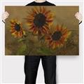 Picture of Sunflower In The Evening II _GroupedProduct_Rectangle_Landscape_Canvas_