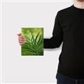 Picture of Fresh Palm Leaves I _GroupedProduct_Rectangle_Portrait_Canvas_