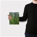Picture of Fresh Palm Leaves II _GroupedProduct_Rectangle_Portrait_Canvas_