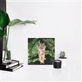 Picture of Tiger in the Jungle _GroupedProduct_Square_Canvas_