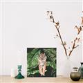 Picture of Tiger in the Jungle _GroupedProduct_Square_Canvas_