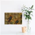 Picture of Sunflower In The Evening I _GroupedProduct_Rectangle_Landscape_Canvas_