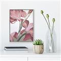 Picture of Dancing Tulip _GroupedProduct_Rectangle_Portrait_Canvas_Framed_