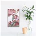 Picture of Dancing Tulip _GroupedProduct_Rectangle_Portrait_Canvas_Framed_
