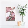 Picture of Dancing Tulip _GroupedProduct_Rectangle_Portrait_Canvas_Framed_