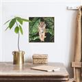 Picture of Tiger in the Jungle _GroupedProduct_Square_Canvas_Framed_