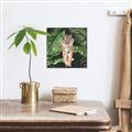 Picture of Tiger in the Jungle _GroupedProduct_Square_Canvas_Framed_