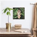 Picture of Tiger in the Jungle _GroupedProduct_Square_Canvas_Framed_