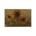 Picture of Sunflower In The Evening II _GroupedProduct_Rectangle_Landscape_Canvas_