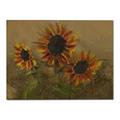 Picture of Sunflower In The Evening II _GroupedProduct_Rectangle_Landscape_Canvas_